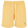 Image de Short Urban Classics Pattern Swim