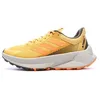Image de Chaussures de trail Jaunes/Gris Femme Adidas Terrex