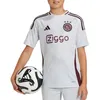 Image de Maillot Third - Adidas - Ajax Amsterdam - Enfants - 2024/2025 - Gris clair/Rouge foncé