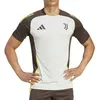 Image de Juventus Maillot Training Gris Homme Adidas Tiro 24