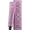 Image de Schwarzkopf Coloration Professional Igora Royal Fashion Lights L-24 - 60 ml
