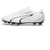 Image de Chaussures de football Puma Vitoria FG/AG