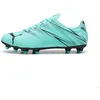 Image de Chaussures de football Puma Attacanto FG/AG