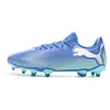 Image de Chaussures de football Bleu Homme Puma Future 7 FG/AG