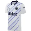 Image de Maillot Extérieur Fenerbahçe 2024/25