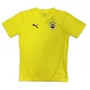 Image de Maillot dentraînement Fenerbahçe 2024/25