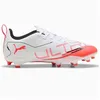 Image de Chaussures Puma Ultra 5 Play 10817001
