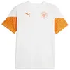 Image de Maillot dentraînement Manchester City 2023/24