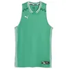 Image de Maillot Puma Hoops team game - vert sapin - S