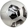 Image de Ballon Puma Big Cat Football