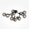 Image de Plafonnier - Maytoni - Dallas - 12 lumières - Noir mat - G9 - Design contemporain