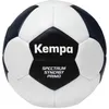 Image de Ballon de handball Kempa Spectrum Synergy Primo Game Changer - gris/bleu marine