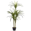 Image de Plante artificielle avec pot 147 cm DRACAENA ANITA