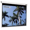 Image de Ecran de projection motorisé CELEXON - 200 x 200 cm - Format 1:1 - Idéal pour Home Cinéma