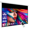 Image de ESMART Professionnel MIMOTO Écran Moteur lumière du Jour GRIS 266 x 149 cm (120) 16:9 Télécommande programmable Écran de