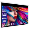 Image de ESMART Professionnel MIROLO Toile pour store enrouleur 237 x 148 cm (110) 16:10 Écran de projecteur home cinéma écran Rollo LCD
