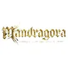 Image de Mandragora: Whispers of the Witch Tree (Limited Edition) -PS5 CDDLC ()DLDLC ()DLC & en occasion ou reconditionné