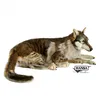 Image de Peluche Loup Couché Géant 125 cm - ANIMA - Pour Enfant - Couleur Gris