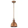 Image de Westinghouse 6103840 Suspension à 1 lampe E27 Acier Cuivre lavé - 6103840