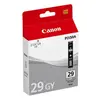 Image de Canon LUCIA PGI-29GY
