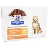 Image de Hill's Prescription Diet Feline C/D Urinary Care Aliment Humide Poulet 12 x 85g