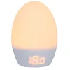 Image de TOMMEE TIPPEE Thermomètre numérique Groegg USB