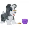 Image de Hasbro Frr Ricky, Le Petit Chien TrÃ¨s Malin en occasion ou reconditionné