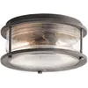 Image de Plafonnier extérieur - Ashland Bay - Zinc et Verre - E27 - 60W - IP44