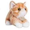 Image de Peluche - AURORA - Chat MiYoni - Orange/Blanc - 20 cm - Mixte - Dès 3 ans