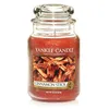 Image de YANKEE CANDLE CANDELA GIARA GRANDE CINNAMON STICK