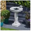 Image de Fontaine solaire Bain dOiseaux aspect pierre
