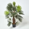 Image de Palmier bambou vert Lady Palm en pot 90 cm