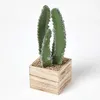 Image de Cactus cierge artificiel en pot carré en bois MDF 33 cm