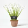 Image de Plante aromatique artificielle en pot Ciboulette
