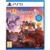 Image de Wildermyth PS5