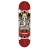 Image de Skateboard Complète BIRDHOUSE TH Icon 8 Rouge - Double kicktail - ABEC-5