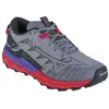 Image de Chaussures de running Femme Gris Mizuno Wave Daichi 7