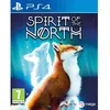 Image de Spirit of the North Jeu PS4