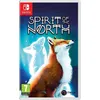 Image de Spirit Of The North Switch en occasion ou reconditionné