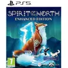 Image de Spirit of the North Jeu PS5