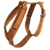 Image de Harnais pour chien actif Kentucky Velvet - orange - 30/48cm