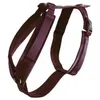 Image de Harnais pour chien actif Kentucky Velvet - rouge bordeaux - 48/70cm