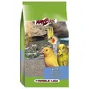 Image de Alimentation pour oiseaux - VERSELE-LAGA - Grit Avec Corail - 25kg - Oiseaux exotiques - Mélange de graines