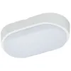 Image de PROLIGHT - Hublot led oval pc 10w 700lm blanc