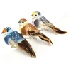 Image de 3 OISEAUX COULEUR SUR PINCE - 10X45X4 CM