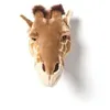 Image de Trophée tête de girafe