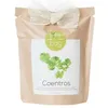 Image de Life in a bag+Coriandre-Grow Bag 300 g