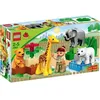 Image de LEGO DUPLO 4962 - Le zoo des bÃ©bÃ©s animaux en occasion ou reconditionné