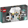 Image de LEGO Ideas - L'institut de recherches - 21110 en occasion ou reconditionné
