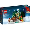 Image de LEGO Saisonnier - Le jardin du PÃ¨re NoÃ«l - 40484 en occasion ou reconditionné